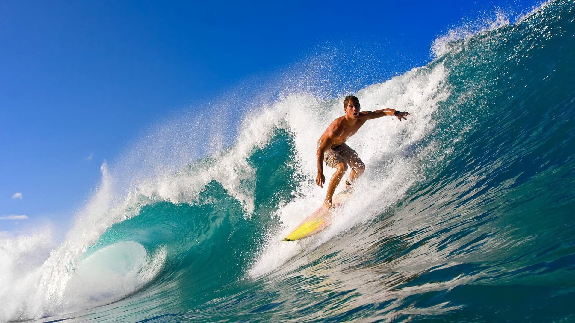 金光闪耀,2025年度最燃赛事来了!